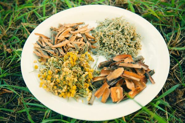 narodni lijekovi za crve i parazite kod ljudi