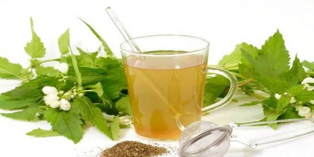 biljna tinktura protiv parazita